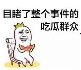 娱乐吃瓜君被告了么,真相与影响全解析