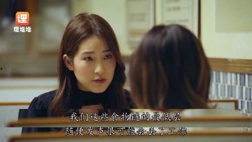 娱乐圈的吃瓜小说,幕后风云，瓜田乱舞