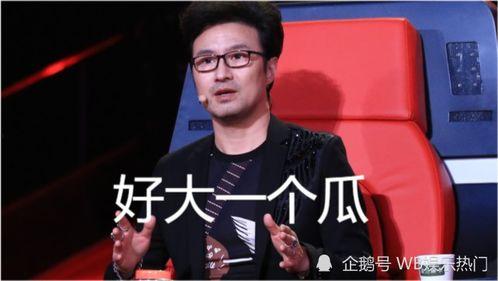 娱乐圈吃瓜音乐,音乐圈吃瓜大揭秘