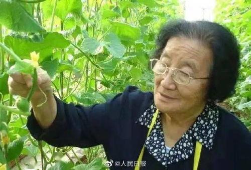 娱乐吃瓜酱善良的人是谁,探寻网络红人的真实一面