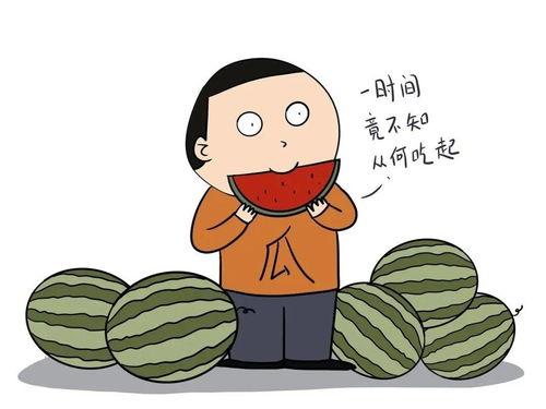 吃瓜娱乐怎么样,揭秘娱乐圈幕后故事