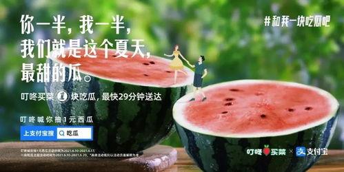 娱乐吃瓜常用文案怎么写,吃瓜群众必备的幕后花絮大汇总
