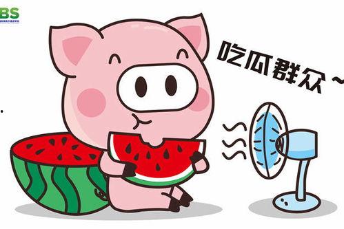 娱乐吃瓜酱素材,吃瓜酱带你领略明星幕后故事