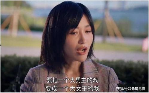 娱乐圈吃瓜搞笑发疯小说,瓜田笑疯录