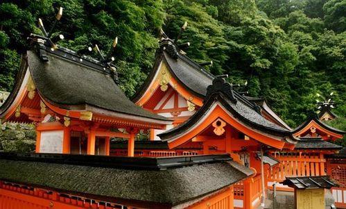 吃瓜寺寺娱乐圈,揭秘娱乐圈幕后故事