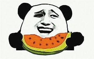 娱乐吃瓜酱感受不到的爱,那些吃瓜群众感受不到的深情与爱意