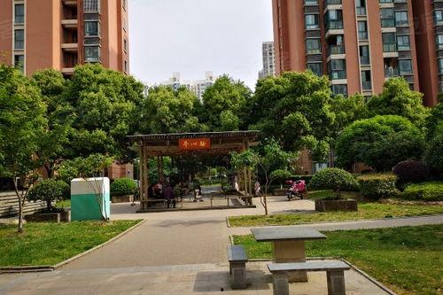 娱乐吃瓜酱花园,揭秘娱乐圈幕后故事