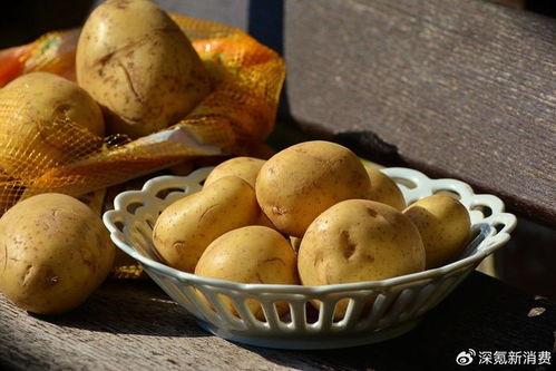 娱乐吃瓜酱土豆视频大全,土豆视频大全，笑料横生，欢乐无限