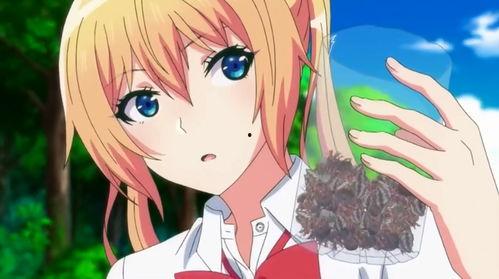 吃瓜少女娱乐姬是谁