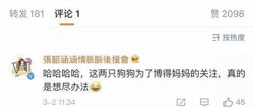 718吃瓜娱乐网站网址,带你畅游娱乐圈的八卦海洋