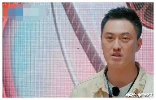 现在去娱乐圈吃瓜