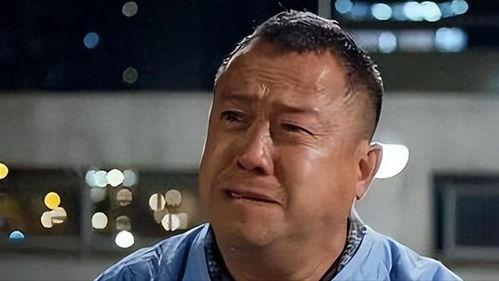 崽崽娱乐圈吃瓜,揭秘明星幕后故事，吃瓜群众狂欢盛宴